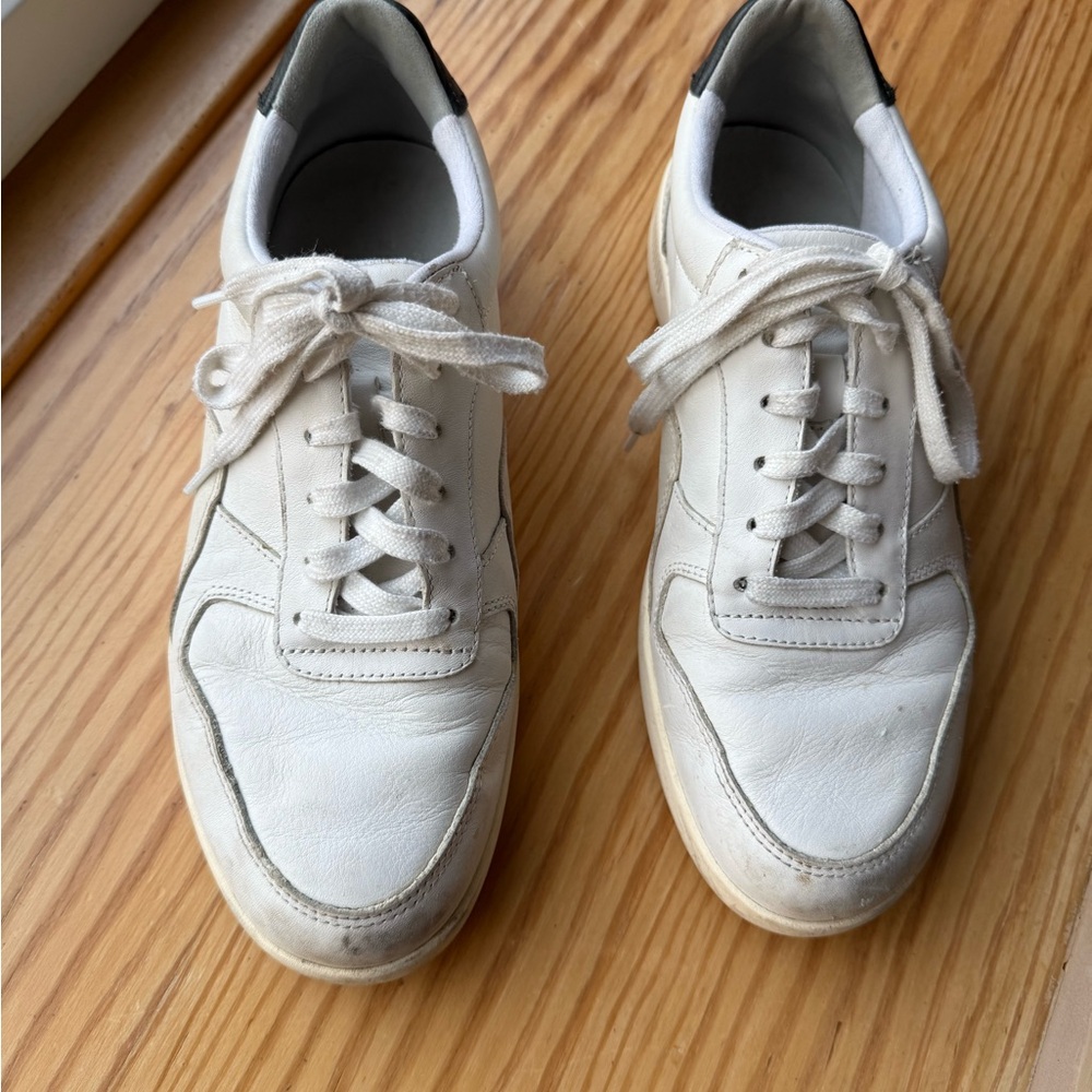 Everlane Court Sneaker